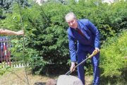 Wiceprzewodniczący Rady Miasta Żyrardowa podczas sadzenia dębu